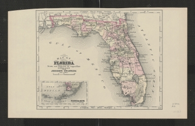 Map of Florida Drawn and Engraved on Copper Plate Expressly for Johnson's Cyclopaedia